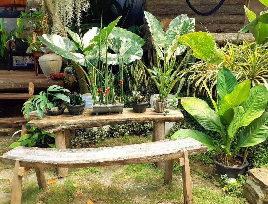 Payag N' Kapitan, Experience Pinubre Living 호텔 시퀴조르 외부 사진